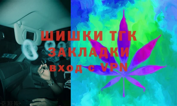 ГАЛЛЮЦИНОГЕННЫЕ ГРИБЫ Иннополис