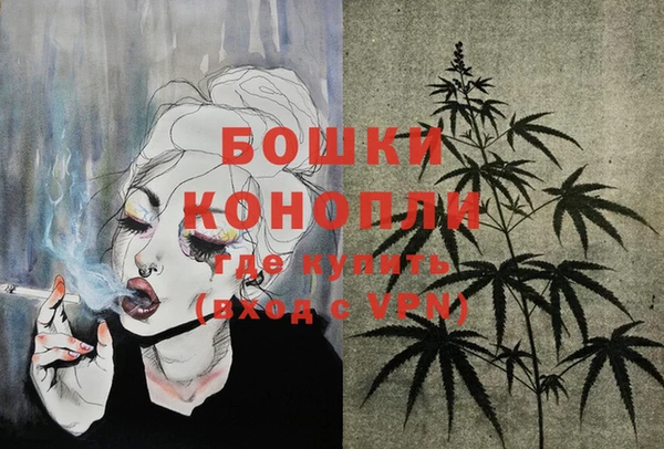 ГАЛЛЮЦИНОГЕННЫЕ ГРИБЫ Иннополис
