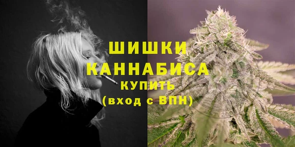 ГАЛЛЮЦИНОГЕННЫЕ ГРИБЫ Иннополис